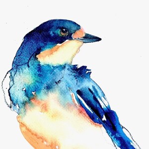 Barn Swallow Study - Watercolor Print, Watercolor Giclee, Bird Print, Bird Watercolor, Swallow Decor, Swallow Art, Barn Swallow Watercolor