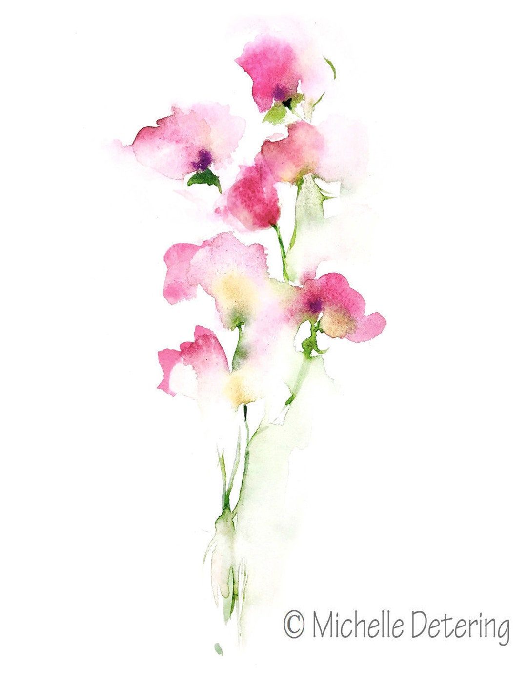 スイートピー - 水彩ジクレープリント - 花の水彩画、花のアート