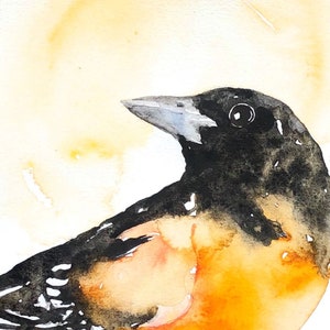 Oriole de Baltimore - impression aquarelle, décoration Oriole de Baltimore, aquarelle Oriole de Baltimore, art Oriole, aquarelle Oriole, peinture Oriole