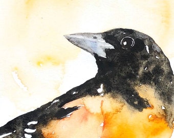 Oriole de Baltimore - impression aquarelle, Decor Oriole de Baltimore, aquarelle Oriole de Baltimore, Art Oriole, aquarelle Oriole, peinture Oriole