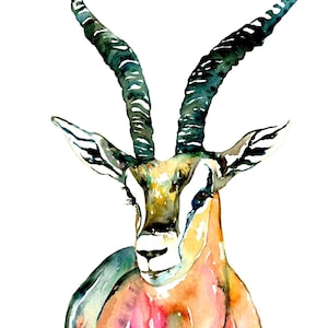 Watercolor Animal Print - Impala Watercolor, Nature, Gazelle Art, Animal Illustration, Safari Art, Whimsical Animal Art, Animal Decor