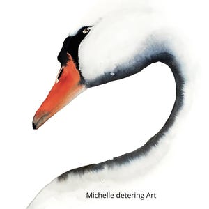 May include: Watercolor painting of a swan's head and neck. The swan is primarily white with gray shading and a black beak base. The beak is orange. The artist's name, Michelle Detering Art, is printed at the bottom.