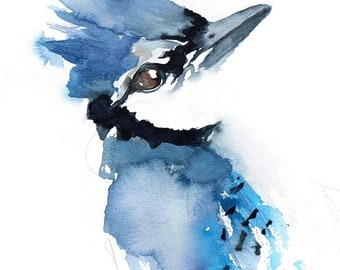Étude de geai bleu - Impression aquarelle, art geai bleu, décoration geai bleu, aquarelle geai bleu, peinture geai bleu, aquarelle d'oiseau, aquarelle moderne