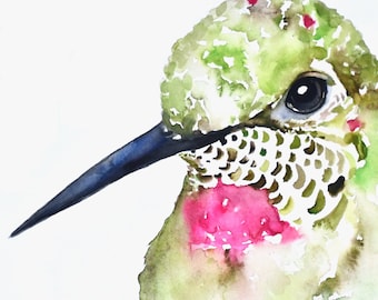Portrait de colibri - Impression aquarelle, Colibri Annas, Aquarelle de colibri, Art du colibri, Décor de colibri, Peinture de colibri