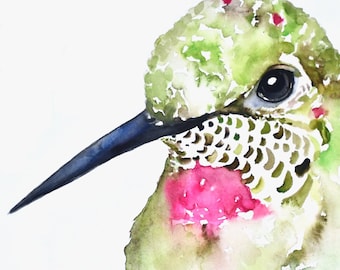 Hummingbird Portrait - Watercolor Print, Annas Hummingbird, Hummingbird Watercolor, Hummingbird Art, Hummingbird Decor, Hummingbird Painting