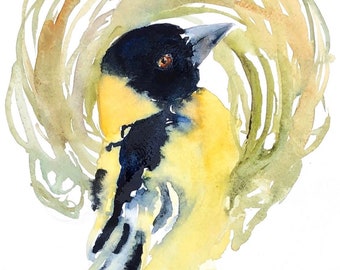 Bird with Nest - Weaver Bird Watercolor, Weaver Bird Art, Bird Nest Art, Weaver Bird Decor, Yellow Bird Art, Bird Watercolor, Modern Bird