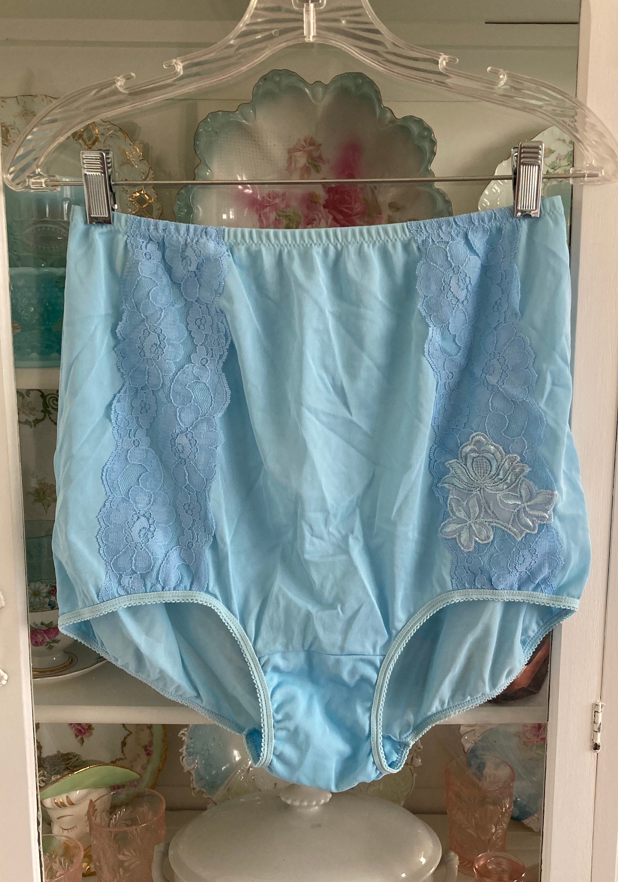 Vintage 1950s Light Blue Nylon Panties Lace Trim & Flower Accent High