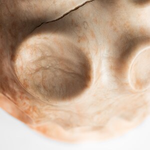 Modern Abstract Sculpture in Solid Alabaster 'Tenticle' by Mark Leblanc 1/8, USA image 7