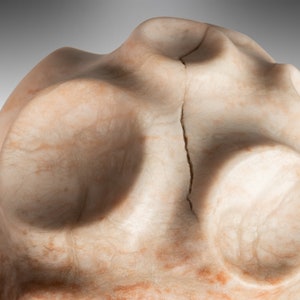 Modern Abstract Sculpture in Solid Alabaster 'Tenticle' by Mark Leblanc 1/8, USA image 5