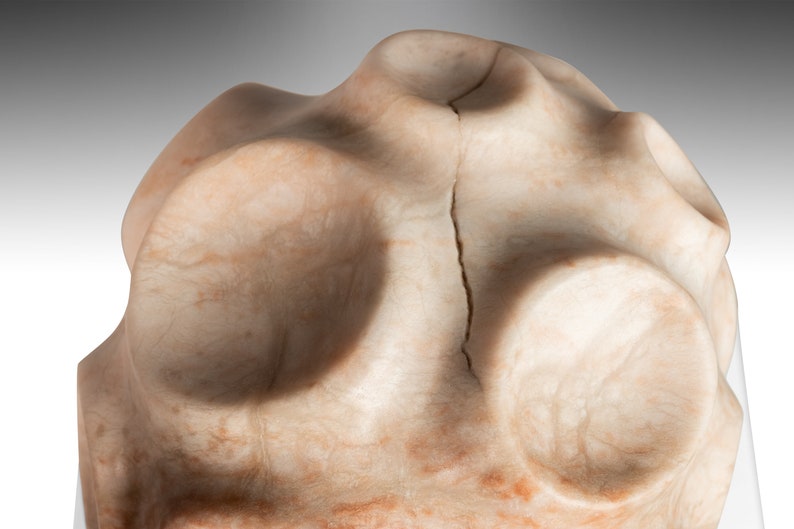 Modern Abstract Sculpture in Solid Alabaster 'Tenticle' by Mark Leblanc 1/8, USA image 5