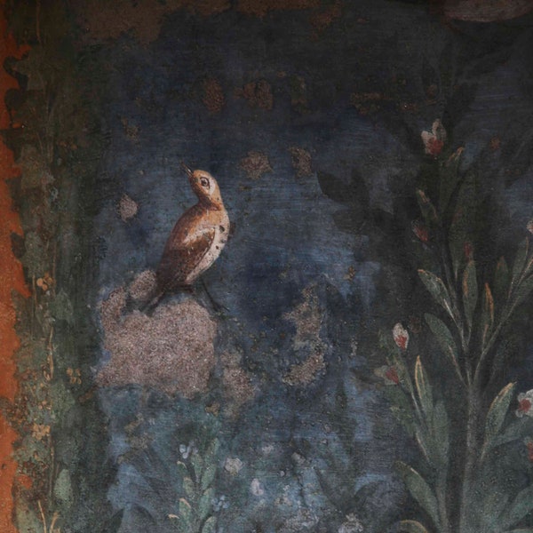 Pompeii-Naples Italy-photo of particular fresco-bird in the leaves-digital photography colors. Photographic printing.
