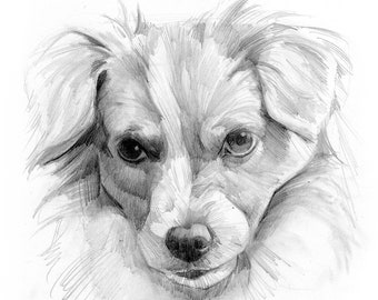 Custom Pet Pencil Drawing - Original 8x10 Drawing Of Your Pet- Dog Portrait Drawing- Pet Portrait Drawing- Cat Portrait