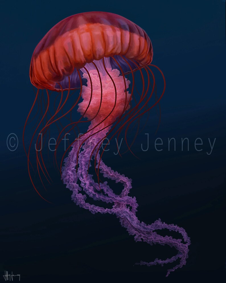 Jellyfish Print Fine Art Print From An Original Painting Etsy