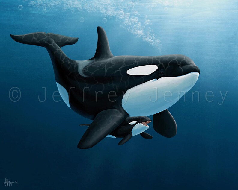 Killer Whale Print Fine Art Print From an Original Painting | Etsy