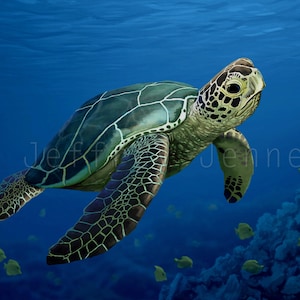 Sea Turtle Print - Fine Art Print From An Original Painting - 8x10 - By Jeffrey Jenney - Ocean Art - Green Sea Turtle - Sea Turtle Wall Art