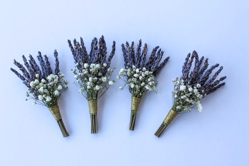 Dried Lavender and Baby/'s Breath Boutonniere