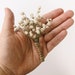 Babies breath boutonniere