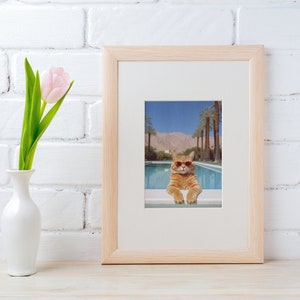 May include: A framed photograph of a cat wearing sunglasses and lounging in a swimming pool. The cat is in the foreground, and the background shows a swimming pool, palm trees, and a mountain range.