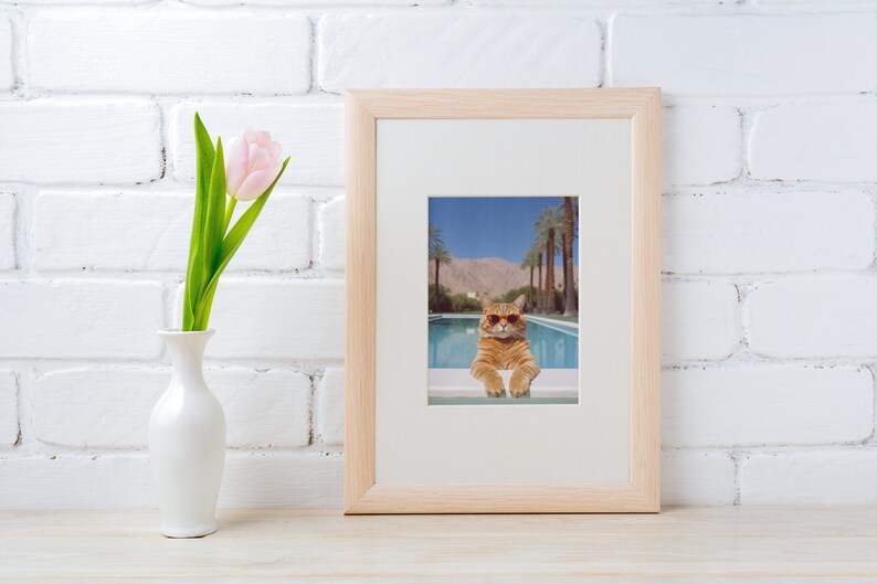 May include: A framed photograph of a cat wearing sunglasses and lounging in a swimming pool. The cat is in the foreground, and the background shows a swimming pool, palm trees, and a mountain range.