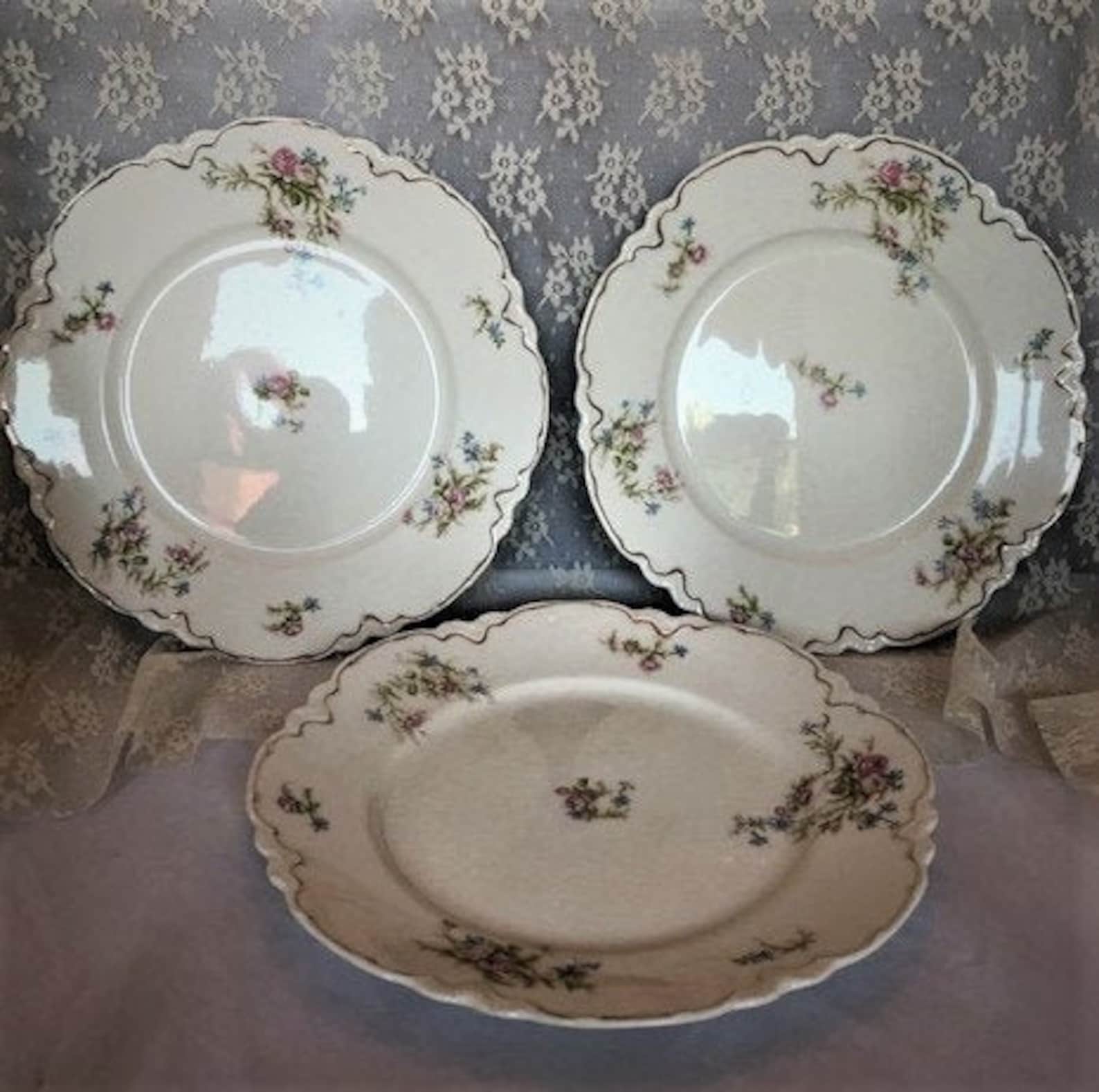 Vintage Rose Pattern China Plates Etsy