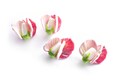 1 (one) piece Sweet pea flower \/ Pea flower\/ floral lampwork bead \/ craft supplies\/ beading \/ flower bead\/ pea pod MTO product logo