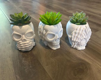 Skull Succulent Planter Set: Hear See Speak No Evil, Free Plant
