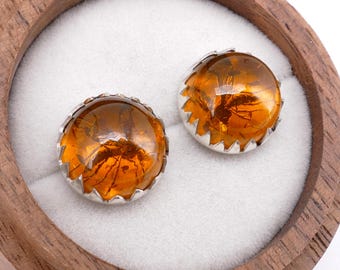 Sterling Silver Mosquito in Amber Stud Earrings