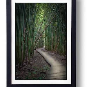 Road to Hana Maui Hawaii Bamboo Forest Fine Art Photography Relax Haleakala National Park Amanda Lackides Photography Wall Art Print Decor
