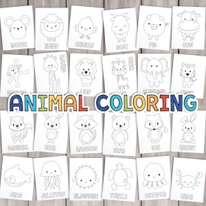 PRINTABLE Animal Coloring Pages. Kids Coloring Book, Learning Party Activities,  School Teacher Games, Coloring Sheet Book Birthday Favor
