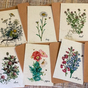 Plantable Flower Seed Greeting Cards, Eco Friendly  Cards, Wildflower Seed Paper, Zero Waste Botanical Cards, Junk Journaling Cards,