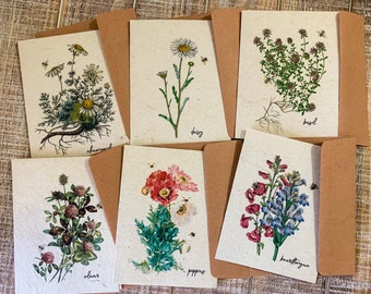 Plantable Flower Seed Greeting Cards, Eco Friendly  Cards, Wildflower Seed Paper, Zero Waste Botanical Cards, Junk Journaling Cards,