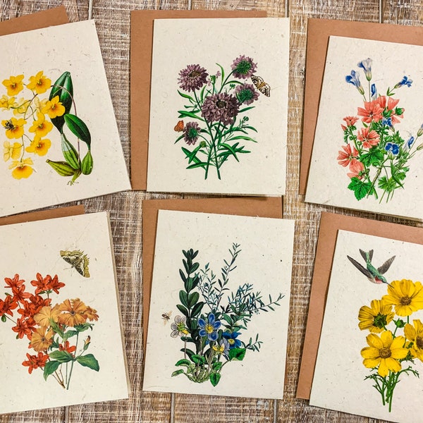 Plantable Flower Seed Greeting Cards, Eco Friendly  Cards, Wildflower Seed Paper, Zero Waste Botanical Cards, Wildflower Pollinator Series,
