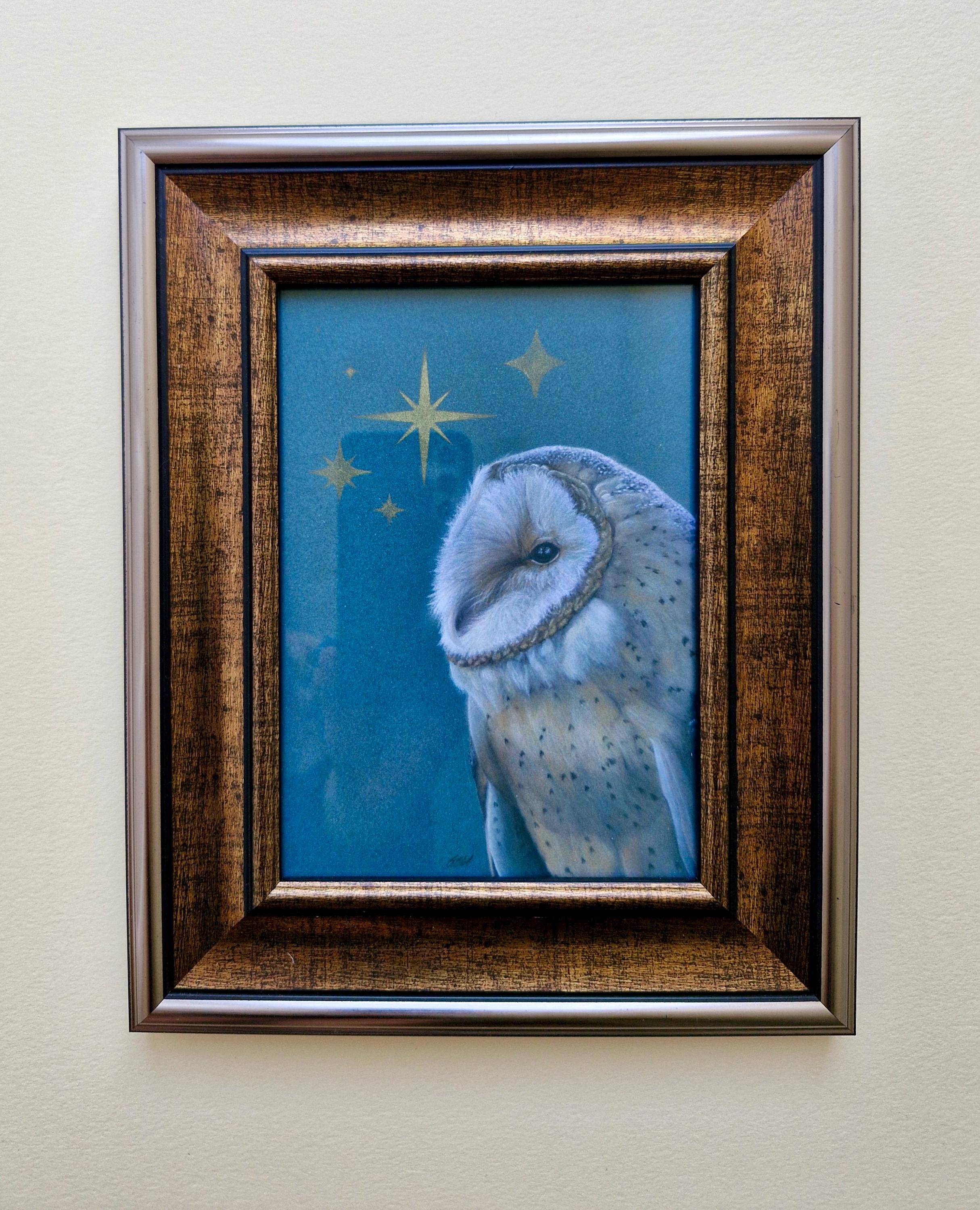 Framed hand embellished barn owl giclee print
