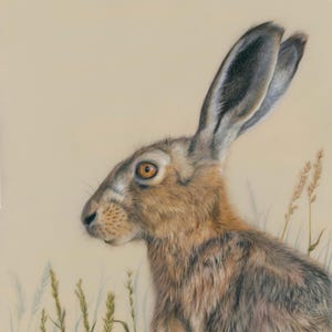Natural calming artwork of a beautiful hare in a stubble field