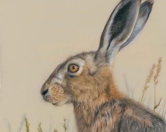 Hare in a field gicleeprint kunst aan de muur