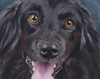 Black dog portrait “So good to see you”