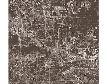 Houston Cityscape / Texas Art Print City Map Wall Art / 8x10 Digital Print / Dorm Decor / Choose your Color