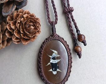 May include: An oval-shaped pendant featuring a smooth brown stone with a central black and white abstract inlay. The stone is encased in a dark brown macrame cord setting, attached to a braided cord necklace with two small wooden beads at the ends.