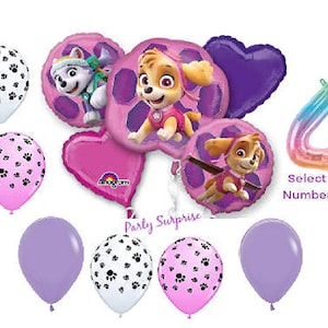 Paw Patrol Balloon Bouquet Skye Balloons Girl Birthday Paw Patrol Balloons Made in USA