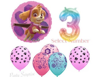 Paw Patrol Skye Balloon Package Rainbow Number Balloon Paw Skye Balloons Mylar Foil Latex Girl Birthday Made in USA