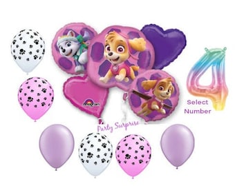 Paw Patrol Balloon Bouquet Skye Balloons Girl Birthday Paw Patrol Balloons Made in USA