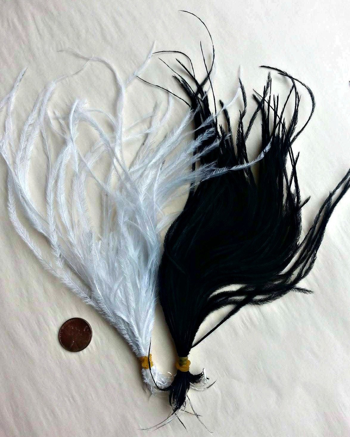 100 black ostrich clearance feathers