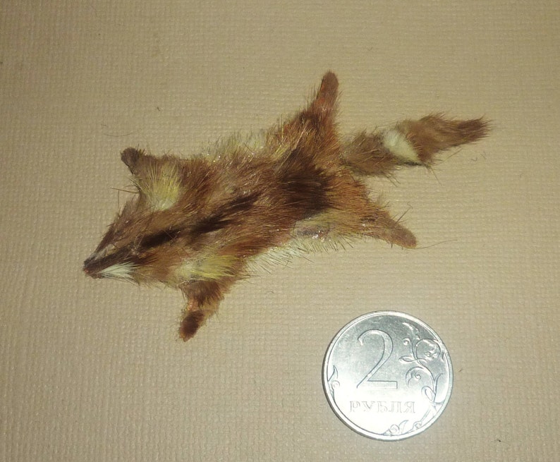 Reallistic Dollhouse miniature fox fox skin Etsy