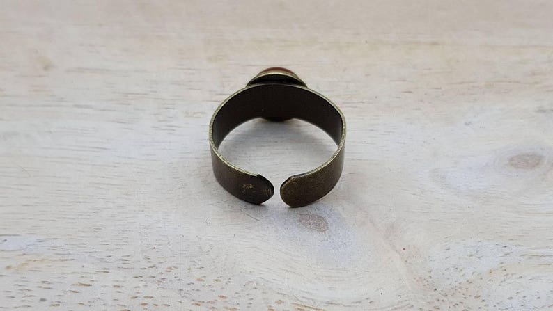May include: A bronze adjustable ring with a red cabochon gemstone.