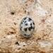 see more listings in the Sterling Silver Pendants section