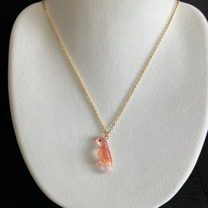 Rare and beautiful Bourke&#39;s parrot Pendant,pink wings parrot necklace,pin,earring,Handmade in translucent resin