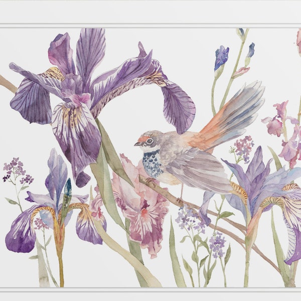 Watercolour Iris |  original art, wall art, floral art