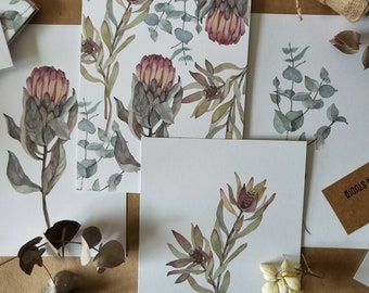 A5 Native flowers wall art print bundle | Protea, Eucalyptus, Leucadendrons