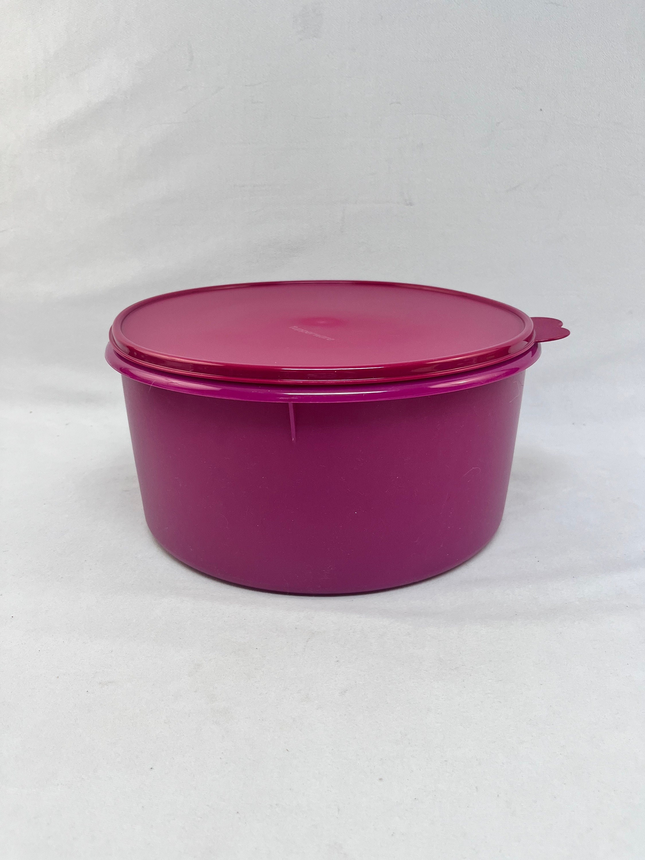 Tupperware, Kitchen, Tupperware Carry All Container Set Of 2 Pink Blue