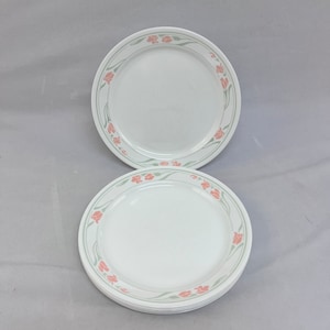 Corelle Peach Blossom Dinner Plates, Set of 6